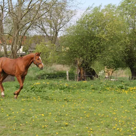 Idyllic Holiday In Near Forest *