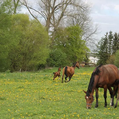 Vakantiehuis Idyllic Holiday In Near Forest